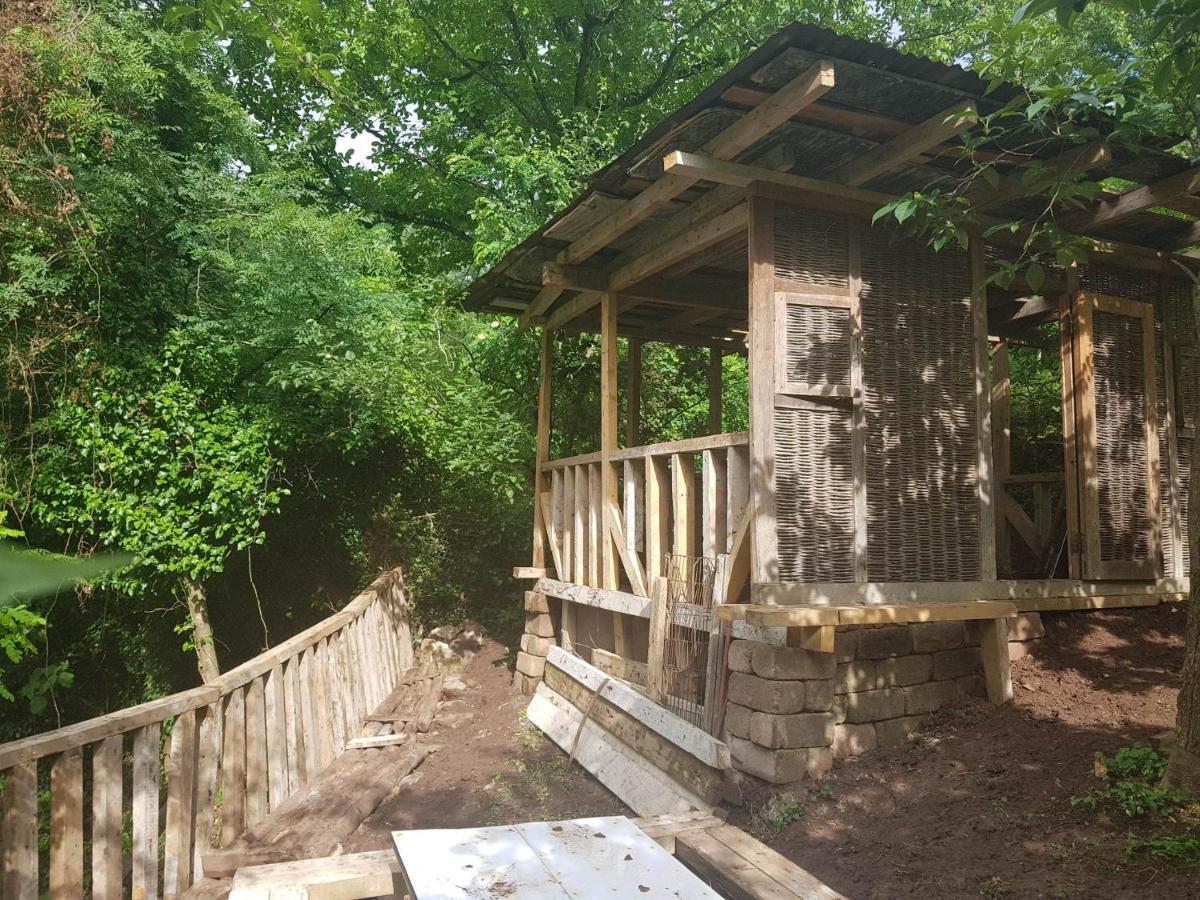 Hotel Shaumiani Kutaisi Bagian luar foto